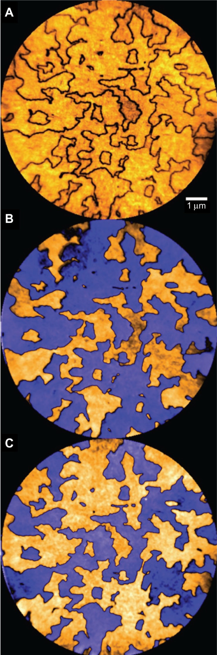 Investigation of structural and electronic properties of epitaxial graphene on 3C-SiC(100)/Si(100) substrates.