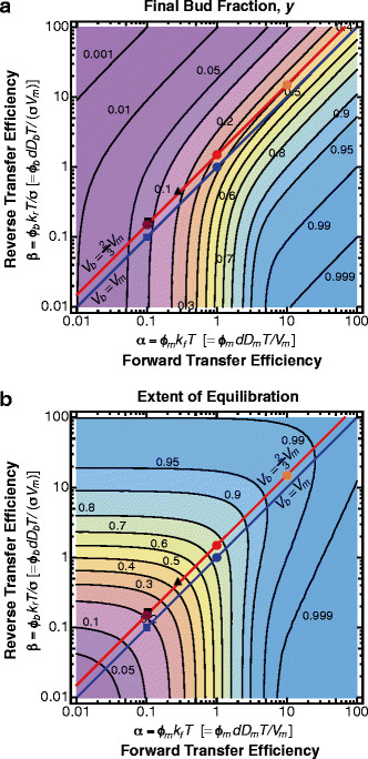 Analytical model for macromolecular partitioning during yeast cell division.