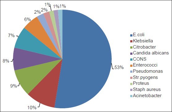 Retrospective analysis of antibiotic resistance pattern to urinary pathogens in a Tertiary Care Hospital in South India.