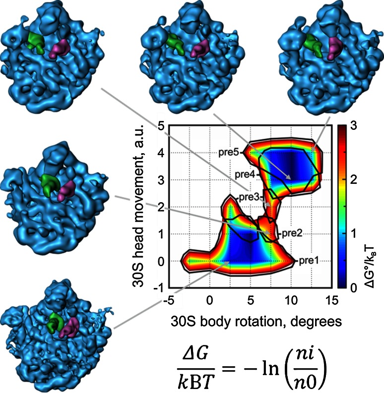 Towards an integrative structural biology approach: combining Cryo-TEM, X-ray crystallography, and NMR.