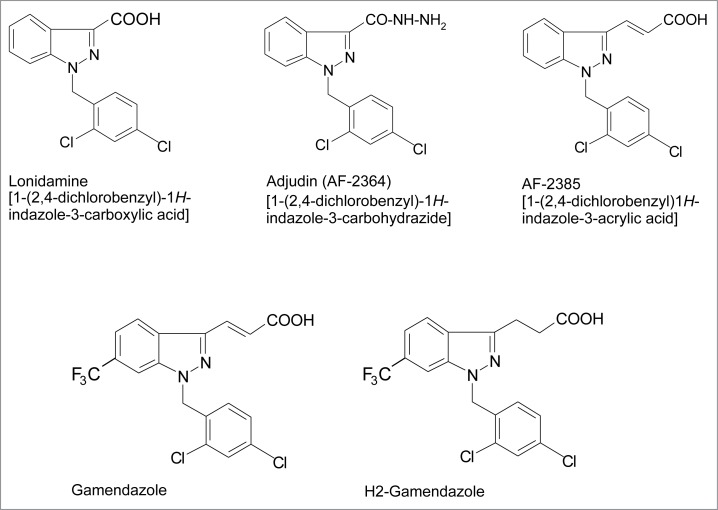 Toxicants target cell junctions in the testis: Insights from the indazole-carboxylic acid model.