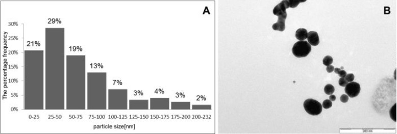 <i>In Vitro</i> AuNPs' Cytotoxicity and Their Effect on Wound Healing.