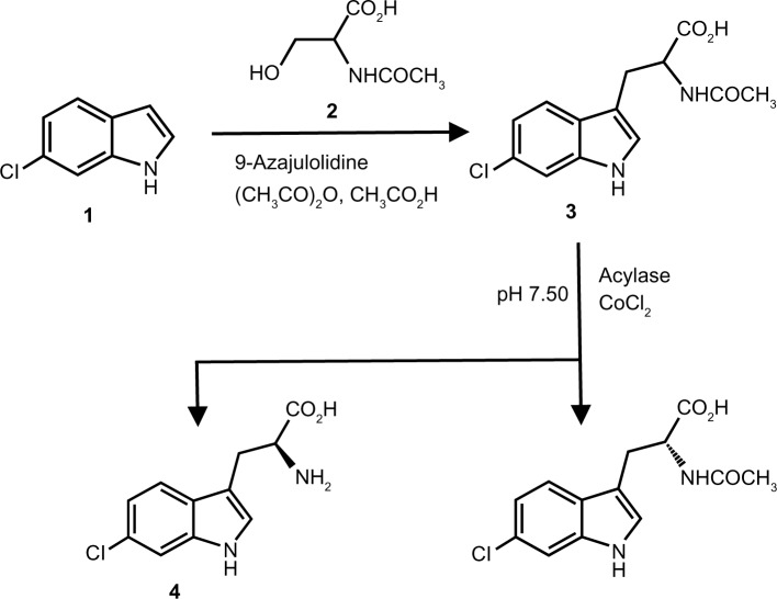 Enantiomeric Separation of Monosubstituted Tryptophan Derivatives and Metabolites by HPLC with a Cinchona Alkaloid-Based Zwitterionic Chiral Stationary Phase and Its Application to the Evaluation of the Optical Purity of Synthesized 6-Chloro-l-Tryptophan.