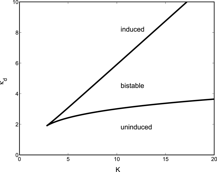 The utility of simple mathematical models in understanding gene regulatory dynamics.