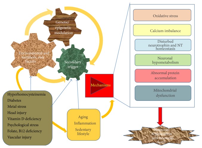 Vitamin D and Alzheimer's Disease: Neurocognition to Therapeutics.