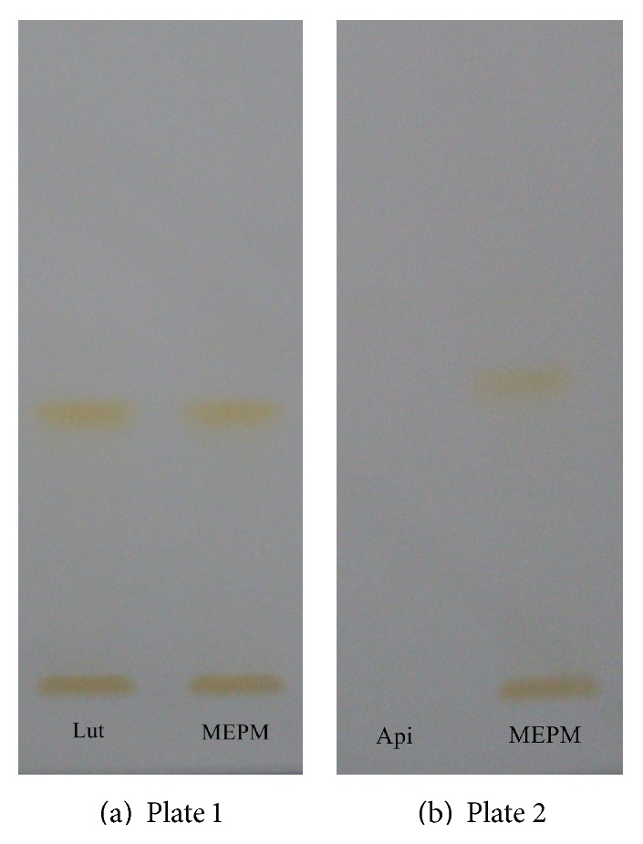 Validated HPTLC Method for Quantification of Luteolin and Apigenin in Premna mucronata Roxb., Verbenaceae.