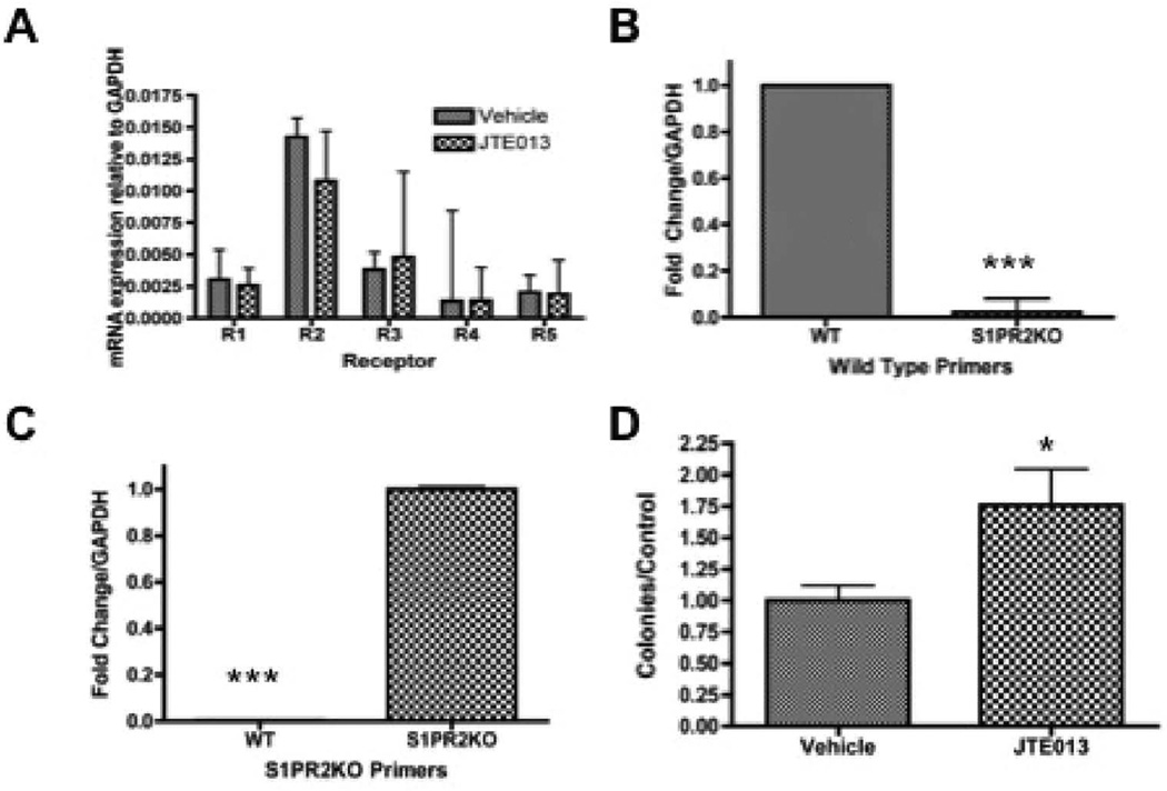 Sphingosine 1-Phosphate Receptor 2 Regulates the Migration, Proliferation, and Differentiation of Mesenchymal Stem Cells.