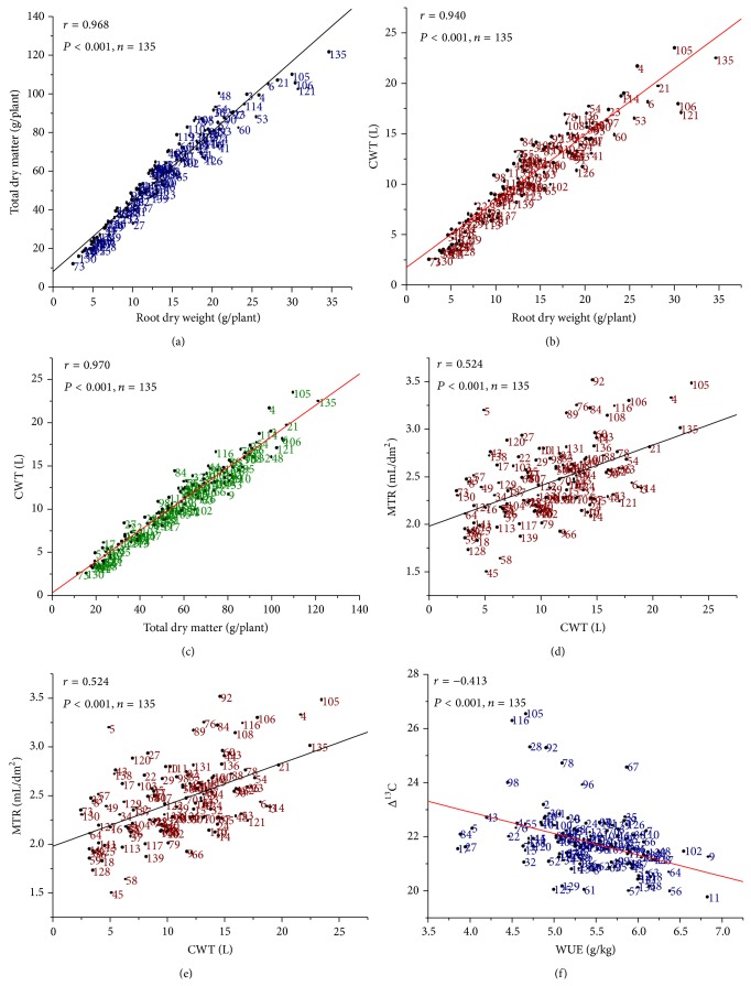 Identification of Putative Molecular Markers Associated with Root Traits in Coffea canephora Pierre ex Froehner.