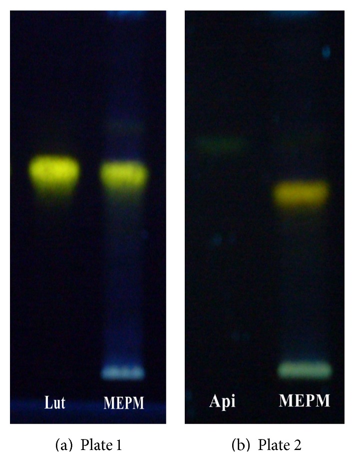 Validated HPTLC Method for Quantification of Luteolin and Apigenin in Premna mucronata Roxb., Verbenaceae.