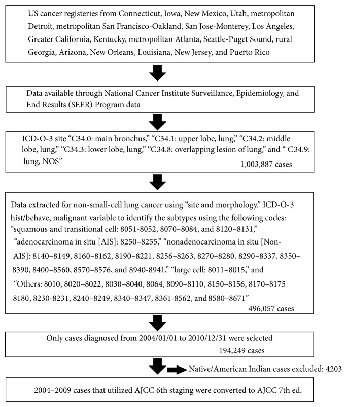 Non-Small-Cell Lung Cancer Clinicopathologic Features and Survival Outcomes in Asian Pacific Islanders Residing in the United States: A SEER Analysis.