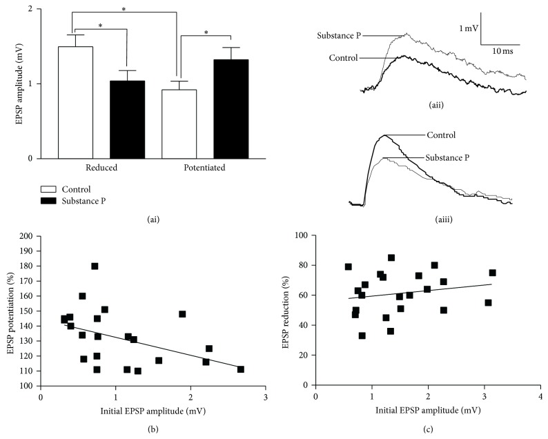 Synaptic Variability Introduces State-Dependent Modulation of Excitatory Spinal Cord Synapses.