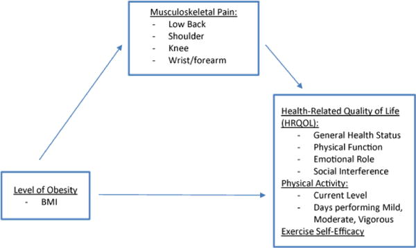 The Link between Musculoskeletal Pain, Lifestyle Behaviors, Exercise Self-Efficacy, and Quality of Life in Overweight and Obese Individuals.