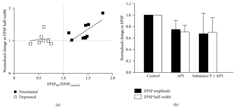 Synaptic Variability Introduces State-Dependent Modulation of Excitatory Spinal Cord Synapses.