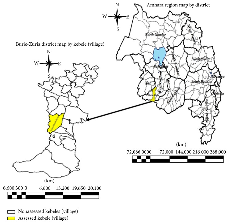 Assessment of Control Measures and Trends of Malaria in Burie-Zuria District, West Gojjam Zone, Amhara Region, North West Ethiopia.