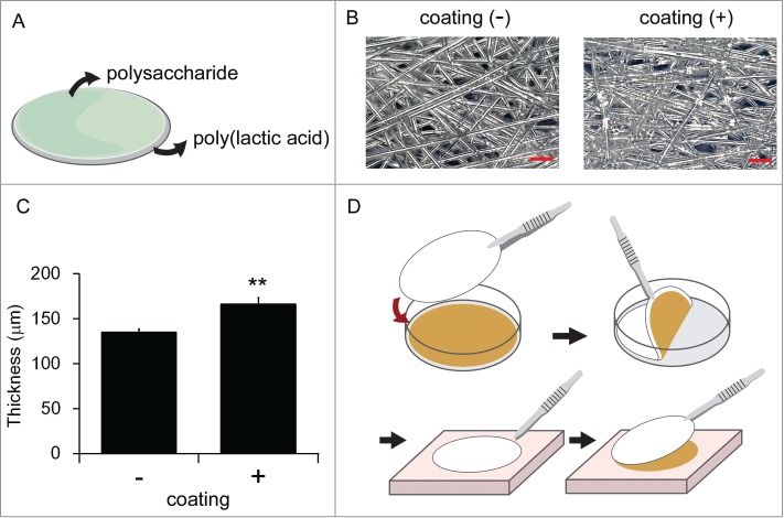 Development of a novel carrier optimized for cell sheet transplantation.