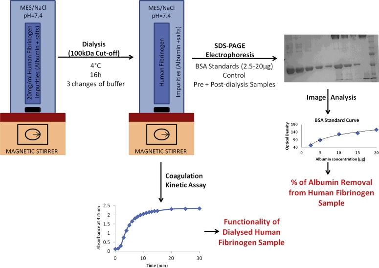 Albumin removal from human fibrinogen preparations for manufacturing human fibrin-based biomaterials