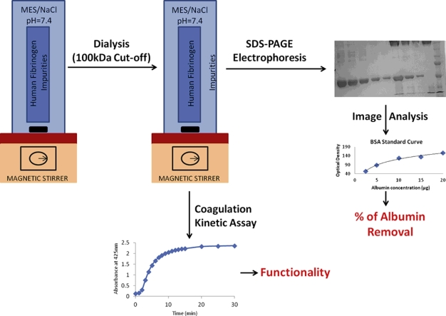 Albumin removal from human fibrinogen preparations for manufacturing human fibrin-based biomaterials