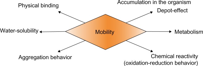 Innovations in nanotechnology for water treatment.