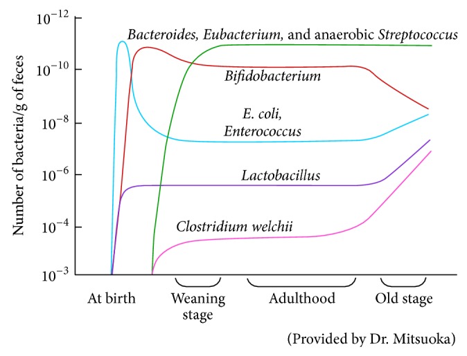 Slipping through the Cracks: Linking Low Immune Function and Intestinal Bacterial Imbalance to the Etiology of Rheumatoid Arthritis.