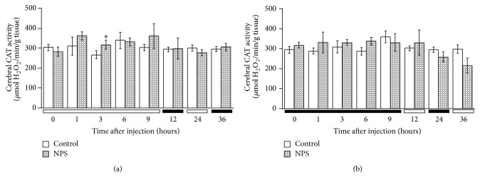 Dosing-time dependent effects of sodium nitroprusside on cerebral, renal, and hepatic catalase activity in mice.