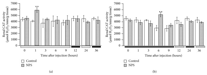 Dosing-time dependent effects of sodium nitroprusside on cerebral, renal, and hepatic catalase activity in mice.