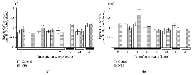 Dosing-time dependent effects of sodium nitroprusside on cerebral, renal, and hepatic catalase activity in mice.