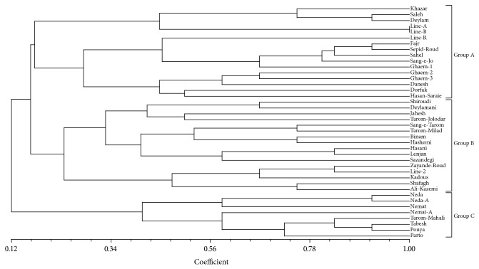 Identification and DUS Testing of Rice Varieties through Microsatellite Markers.