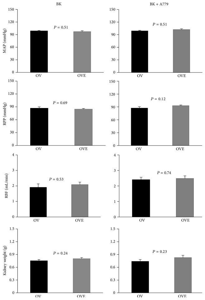 Role of Mas Receptor Antagonist A799 in Renal Blood Flow Response to Ang 1-7 after Bradykinin Administration in Ovariectomized Estradiol-Treated Rats.