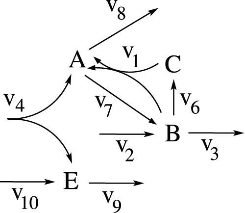 Exploiting stoichiometric redundancies for computational efficiency and network reduction.