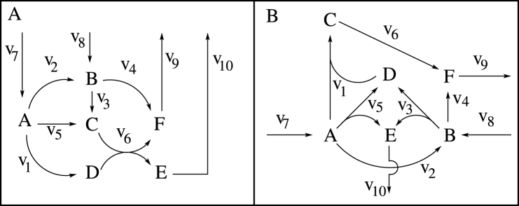 Exploiting stoichiometric redundancies for computational efficiency and network reduction.