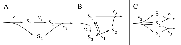 Exploiting stoichiometric redundancies for computational efficiency and network reduction.