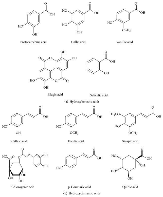 Therapeutic Potential of Dietary Phenolic Acids.