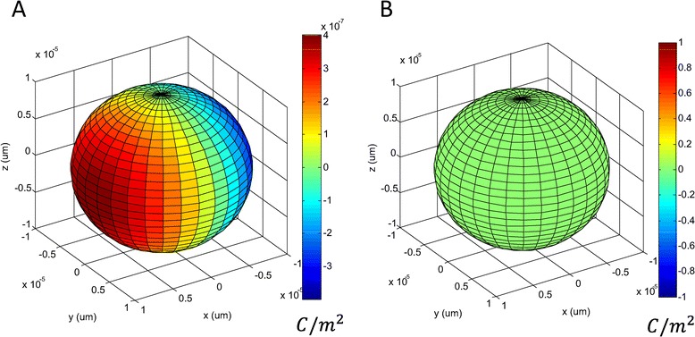 Vesicle biomechanics in a time-varying magnetic field.