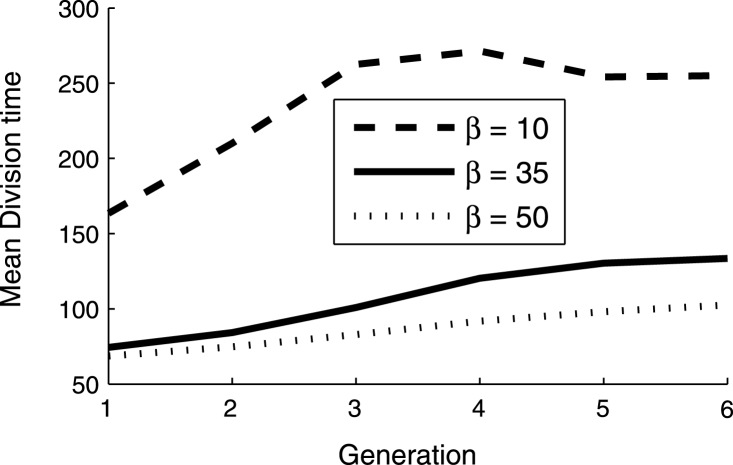 In silico analysis of division times of Escherichia coli populations as a function of the partitioning scheme of non-functional proteins.