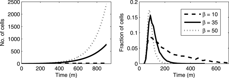 In silico analysis of division times of Escherichia coli populations as a function of the partitioning scheme of non-functional proteins.