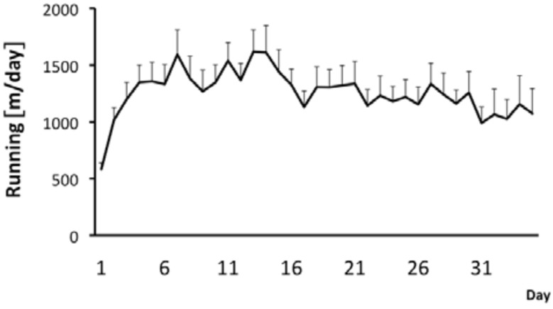 Hippocampal morphology in a rat model of depression: the effects of physical activity.