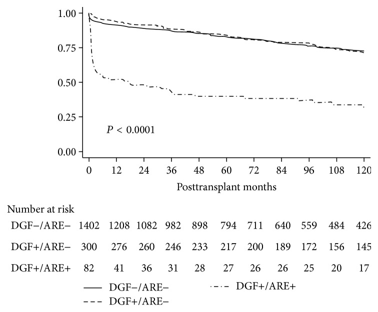 Delayed Graft Function in Kidney Transplants: Time Evolution, Role of Acute Rejection, Risk Factors, and Impact on Patient and Graft Outcome.