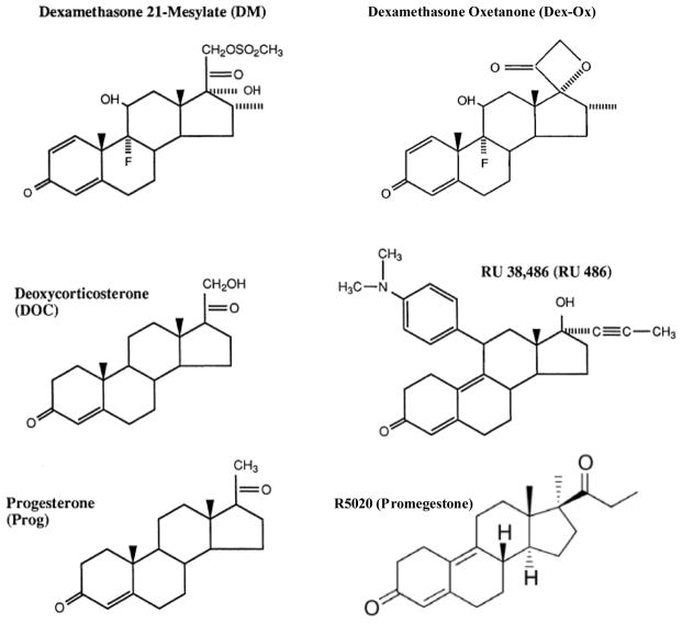 Theory of partial agonist activity of steroid hormones.