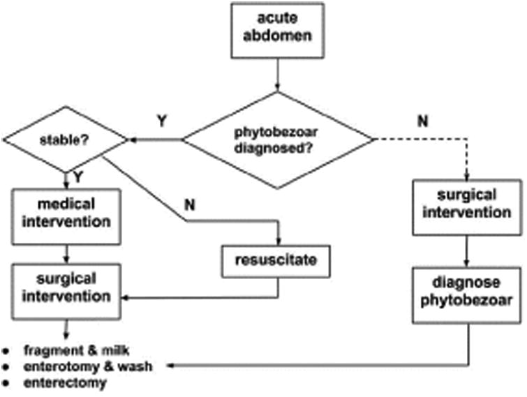 PhytobezoarInduced Small Bowel Obstruction in a Young Male with Virgin Abdomen.