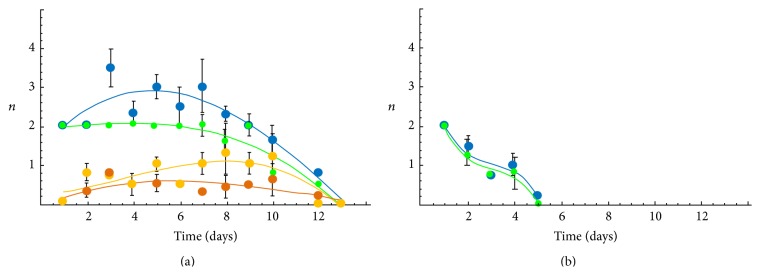 Informational Theory of Aging: The Life Extension Method Based on the Bone Marrow Transplantation.