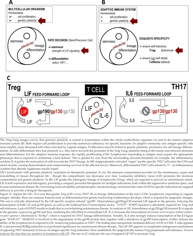 Multiple Sclerosis and the LIF/IL-6 Axis: Use of Nanotechnology to Harness the Tolerogenic and Reparative Properties of LIF.