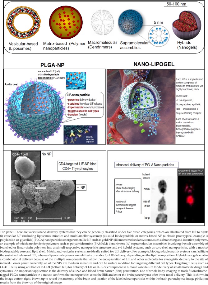 Multiple Sclerosis and the LIF/IL-6 Axis: Use of Nanotechnology to Harness the Tolerogenic and Reparative Properties of LIF.