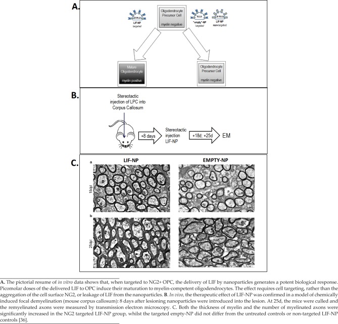 Multiple Sclerosis and the LIF/IL-6 Axis: Use of Nanotechnology to Harness the Tolerogenic and Reparative Properties of LIF.