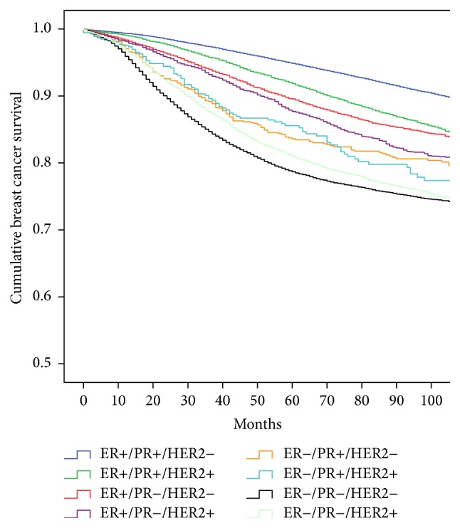 The Influence of Socioeconomic Status on Racial/Ethnic Disparities among the ER/PR/HER2 Breast Cancer Subtypes.