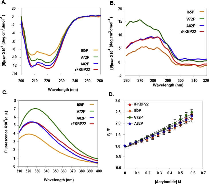 Proline substitutions in a Mip-like peptidyl-prolyl cis-trans isomerase severely affect its structure, stability, shape and activity