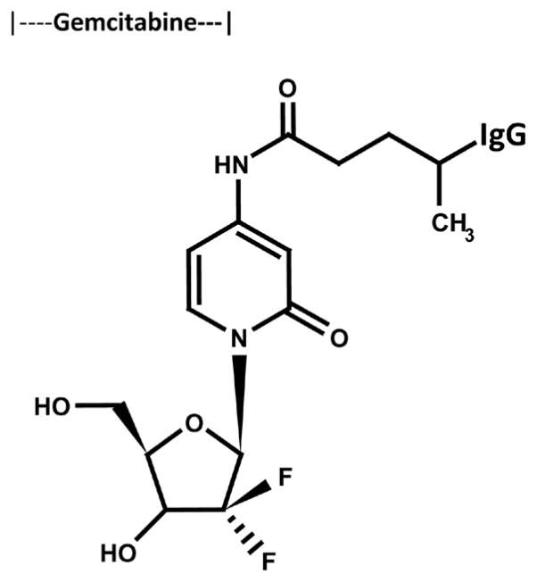 Simultaneous Dual Selective Targeted Delivery of Two Covalent Gemcitabine Immunochemotherapeutics and Complementary Anti-Neoplastic Potency of [Se]-Methylselenocysteine.