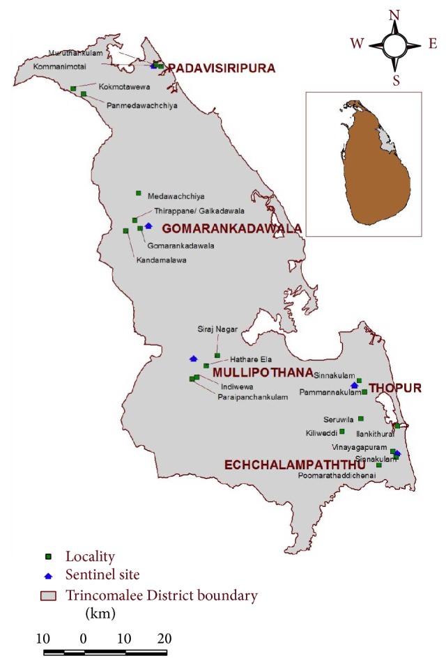 Entomological investigations on malaria vectors in some war-torn areas in the trincomalee district of sri lanka after settlement of 30-year civil disturbance.