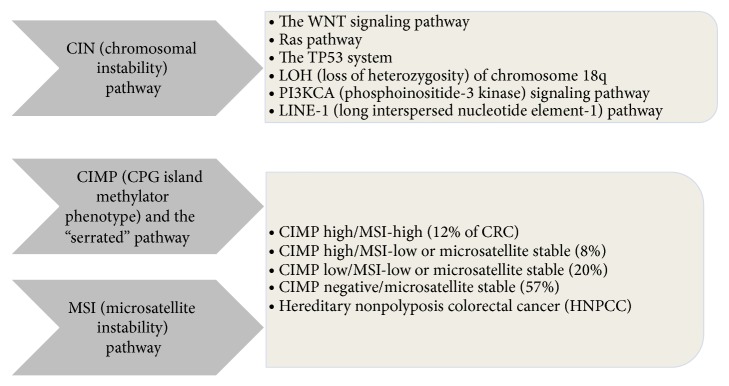 Colorectal cancer in iran: molecular epidemiology and screening strategies.