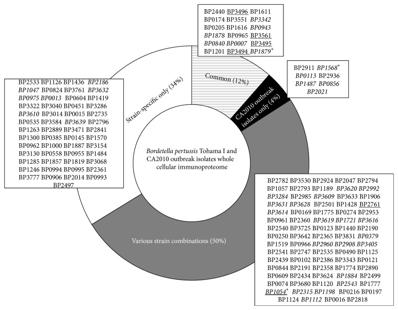 A Proteomic Characterization of Bordetella pertussis Clinical Isolates Associated with a California State Pertussis Outbreak.