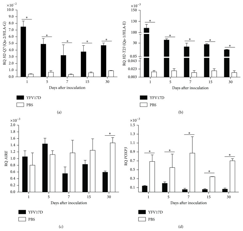 The Attenuated Live Yellow Fever Virus 17D Infects the Thymus and Induces Thymic Transcriptional Modifications of Immunomodulatory Genes in C57BL/6 and BALB/C Mice.